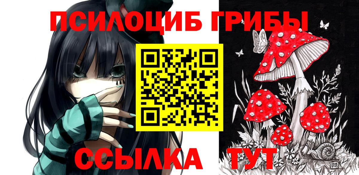 Псилоцибиновые грибы Cubensis  магазин    Кировск  Вход с VPN 